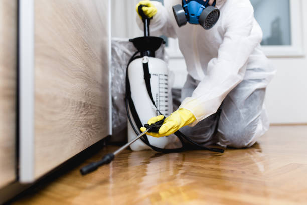 Professional Pest Control in Carmi, IL