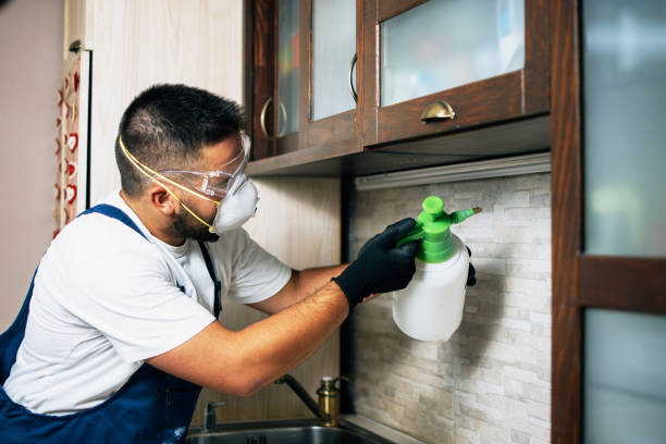 Best Insect Control  in Carmi, IL