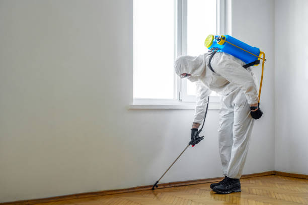 Best Pest Control Near Me  in Carmi, IL