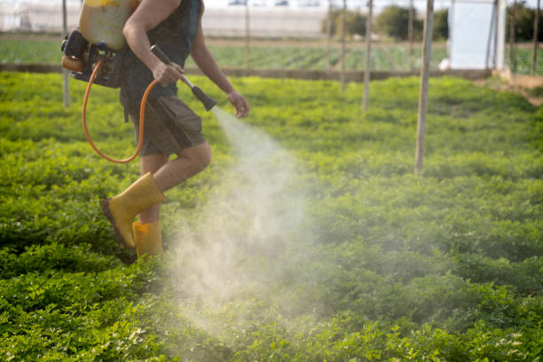 Best Flea Control Services  in Carmi, IL
