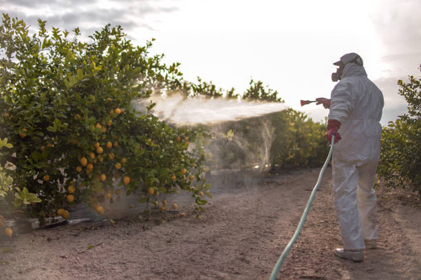 Best Exterminator Services  in Carmi, IL