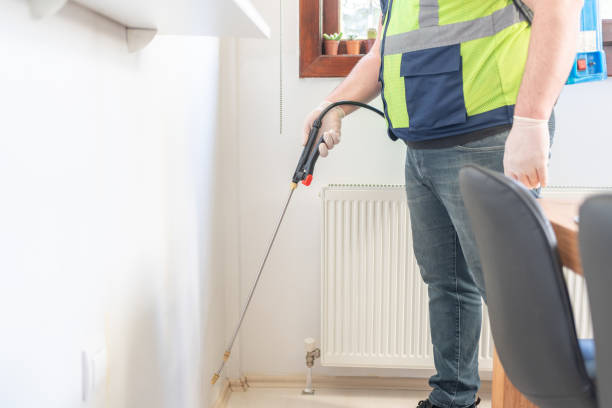 Best Affordable Pest Control Services  in Carmi, IL