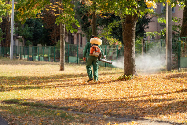 Best Affordable Pest Control Services  in Carmi, IL