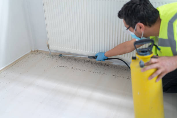 Best Pest Control for Businesses  in Carmi, IL